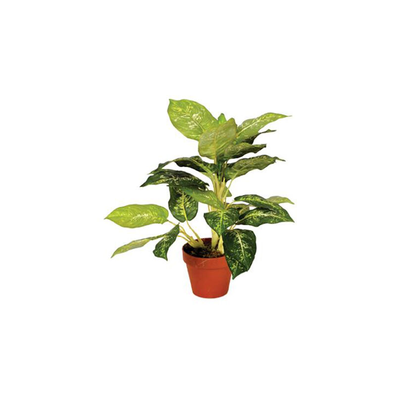 Plantawa Planta Artificial Calatea Luisae 49 cm Plantas Artificiales con Maceta para Casa Decoración para Interior y Exterior
Plantawa Planta Artificial Calatea Luisae 49 cm Plantas Artificiales con Maceta para Casa Decoración para Interior y Exterior