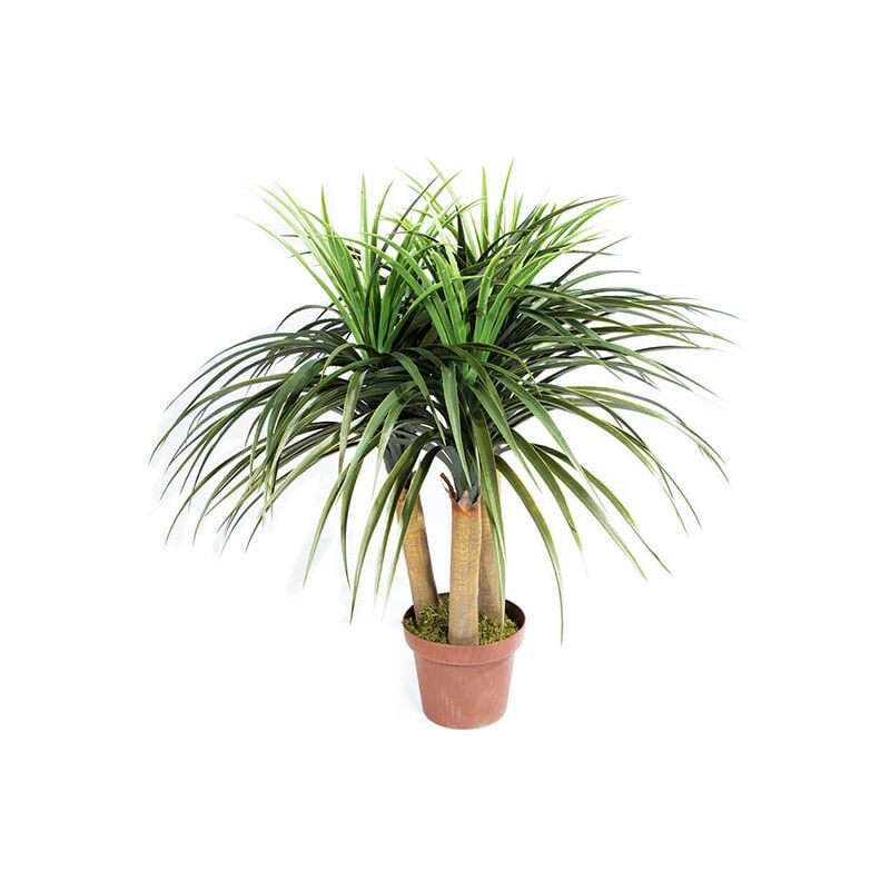 Plantawa Planta Artificial Nolina Mini 75 cm Plantas Artificiales con Maceta para Casa Decoración para Interior y Exterior
Plantawa Planta Artificial Nolina Mini 75 cm Plantas Artificiales con Maceta para Casa Decoración para Interior y Exterior
