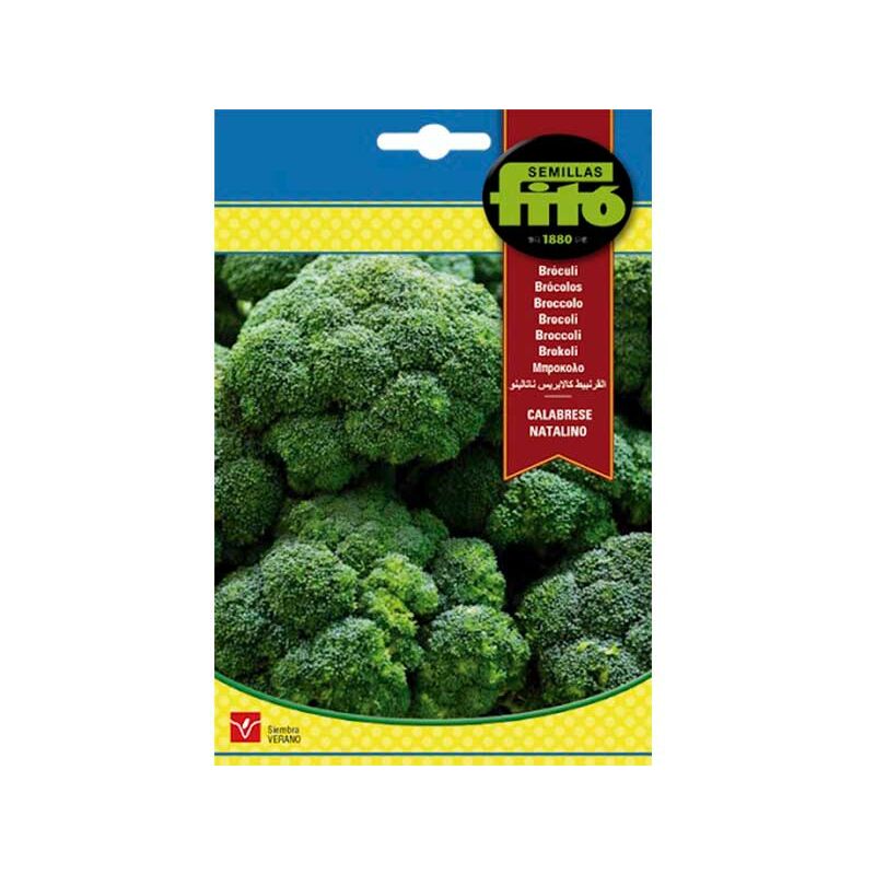 Plantawa Semillas de Brócoli Calabrese Natalino para Siembra Primavera Verano ciclo tardío Hortaliza para Cultivar - Fitó
Plantawa Semillas de Brócoli Calabrese Natalino para Siembra Primavera Verano ciclo tardío Hortaliza para Cultivar - Fitó