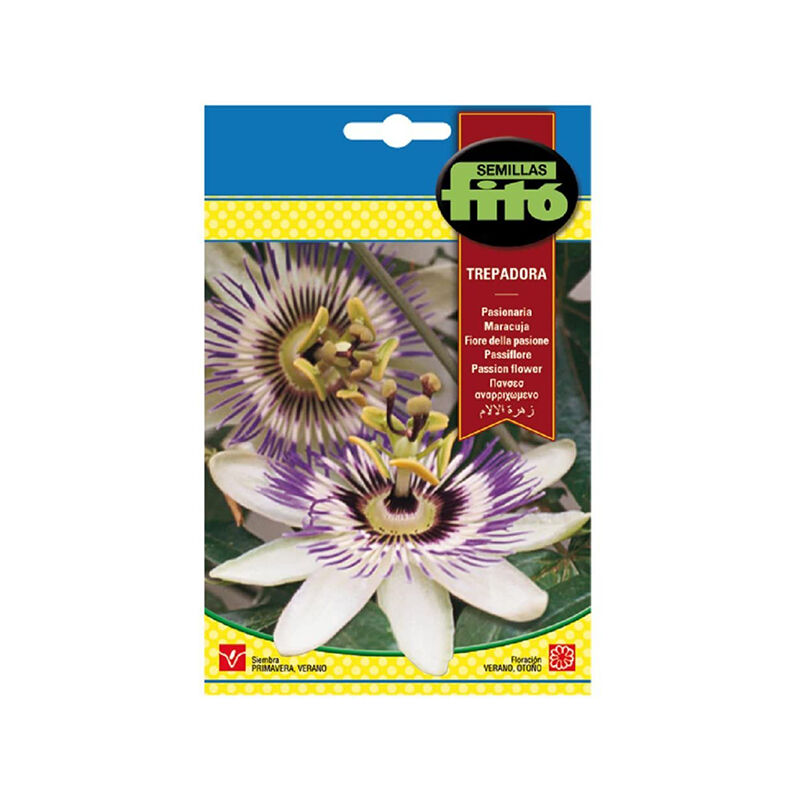Plantawa Semillas de Pasionaria Trepadora para Siembra Primavera Verano para Cultivar - Fitó
Plantawa Semillas de Pasionaria Trepadora para Siembra Primavera Verano para Cultivar - Fitó