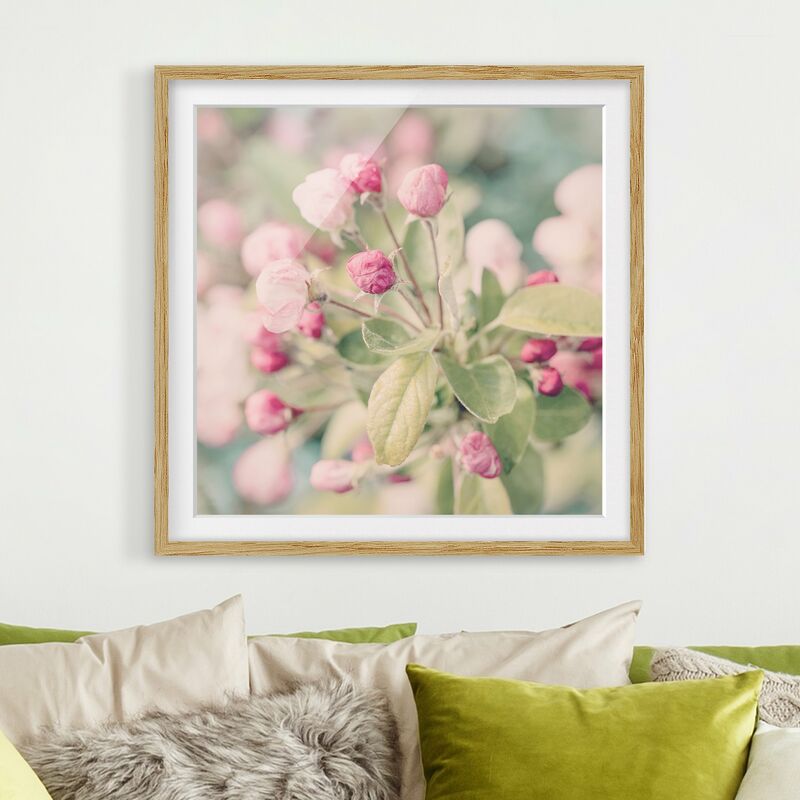 Póster enmarcado - Apple Blossom rosa bokeh Dimensión LxA: 50cm x 50cm, Marco: Roble
Póster enmarcado - Apple Blossom rosa bokeh Dimensión LxA: 50cm x 50cm, Marco: Roble