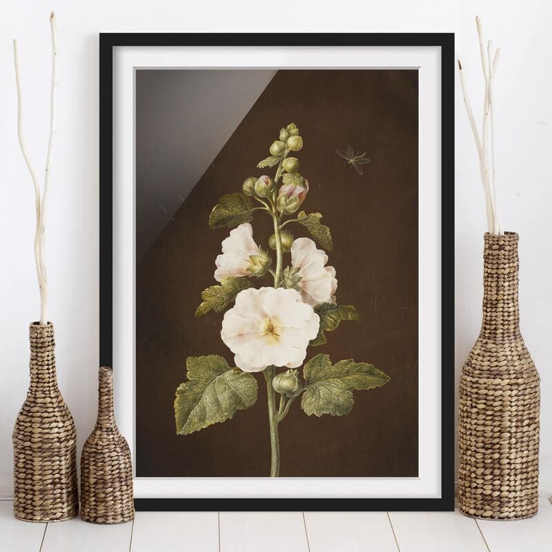 Póster enmarcado - Barbara Regina Dietzsch - Hollyhock Dimensión LxA: 40cm x 30cm, Marco: Negro
Póster enmarcado - Barbara Regina Dietzsch - Hollyhock Dimensión LxA: 40cm x 30cm, Marco: Negro