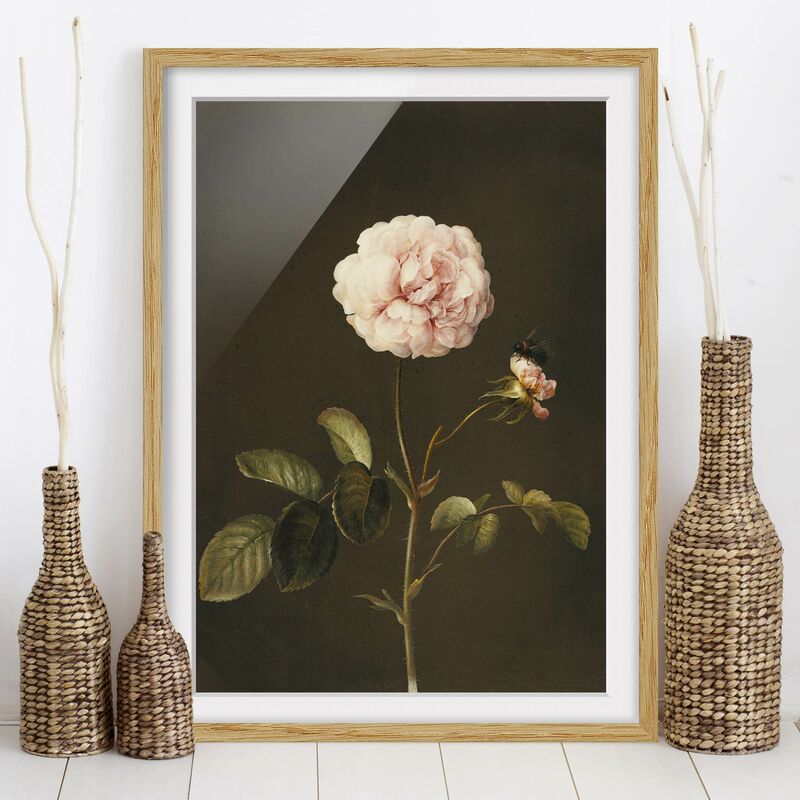Póster enmarcado - Barbara Regina Dietzsch - Rosa Gallica Con Bumblebee Dimensión LxA: 40cm x 30cm, Marco: Roble
Póster enmarcado - Barbara Regina Dietzsch - Rosa Gallica Con Bumblebee Dimensión LxA: 40cm x 30cm, Marco: Roble