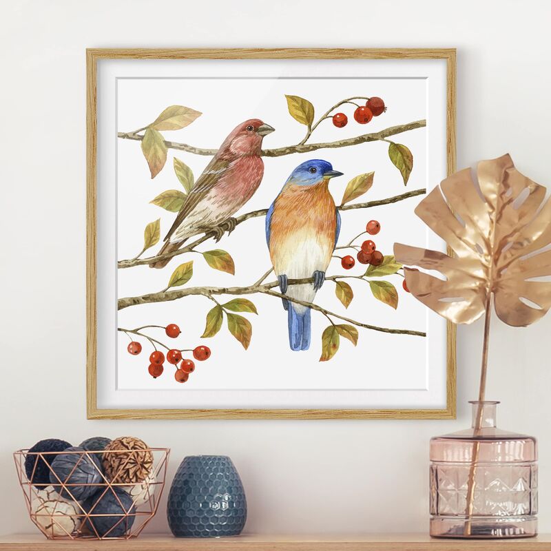 Póster enmarcado - Birds And Berries - Bluebird Dimensión LxA: 50cm x 50cm, Marco: Roble
Póster enmarcado - Birds And Berries - Bluebird Dimensión LxA: 50cm x 50cm, Marco: Roble