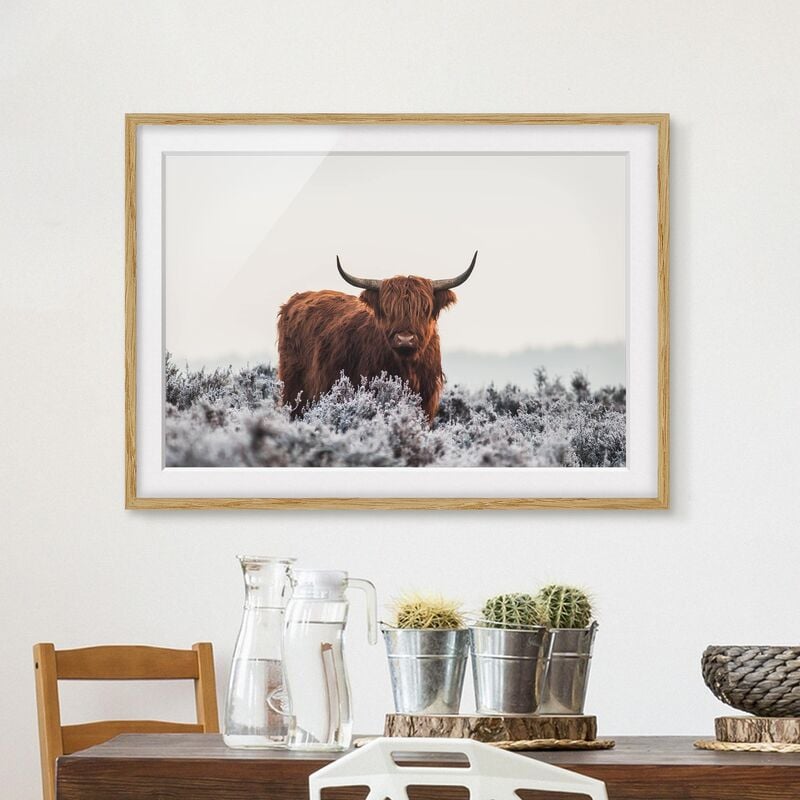 Póster enmarcado - Bisonte Nelle Highlands Dimensión LxA: 40cm x 55cm, Marco: Roble
Póster enmarcado - Bisonte Nelle Highlands Dimensión LxA: 40cm x 55cm, Marco: Roble