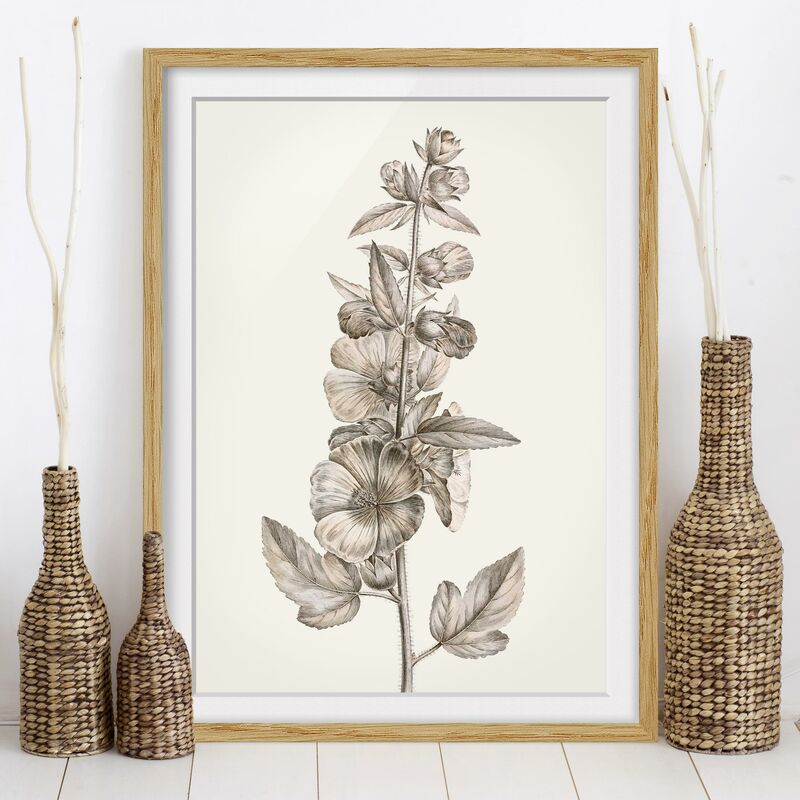 Póster enmarcado - Botanico Study in Sepia II Dimensión LxA: 70cm x 50cm, Marco: Roble
Póster enmarcado - Botanico Study in Sepia II Dimensión LxA: 70cm x 50cm, Marco: Roble