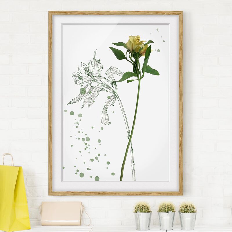 Póster enmarcado - Acquerello Botanico - Lily Dimensión LxA: 24cm x 18cm, Marco: Roble
Póster enmarcado - Acquerello Botanico - Lily Dimensión LxA: 24cm x 18cm, Marco: Roble