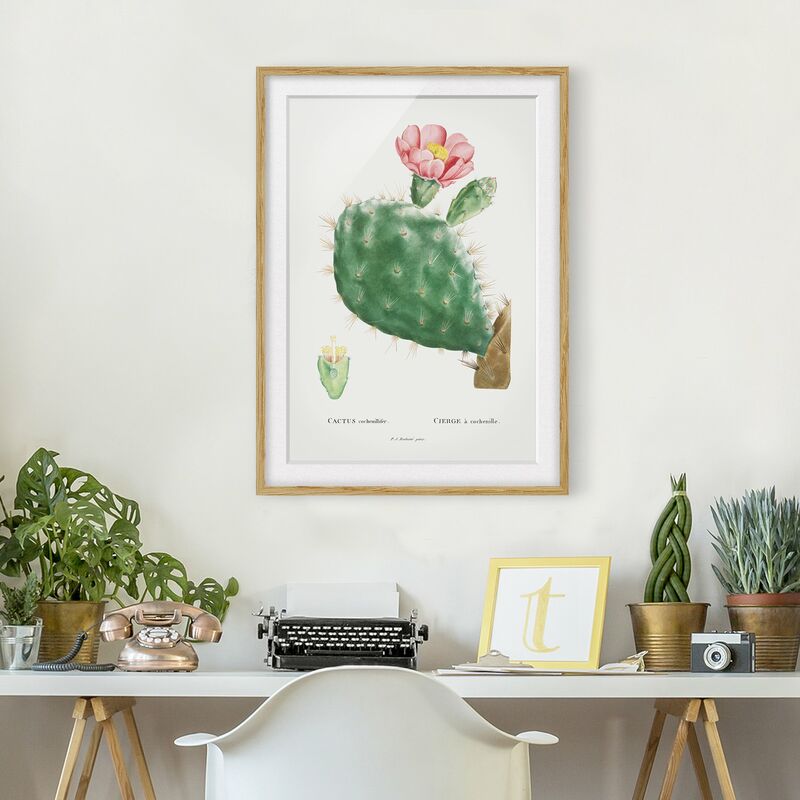 Póster enmarcado - Botanica illustrazione d'epoca di fioritura Cactus Rosa Dimensión LxA: 24cm x 18cm, Marco: Roble
Póster enmarcado - Botanica illustrazione d'epoca di fioritura Cactus Rosa Dimensión LxA: 24cm x 18cm, Marco: Roble
