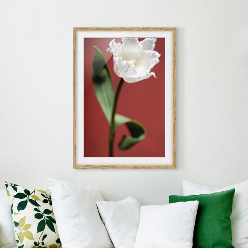 Póster enmarcado - Breathtaking White Tulip Dimensión LxA: 70cm x 50cm, Marco: Roble
Póster enmarcado - Breathtaking White Tulip Dimensión LxA: 70cm x 50cm, Marco: Roble