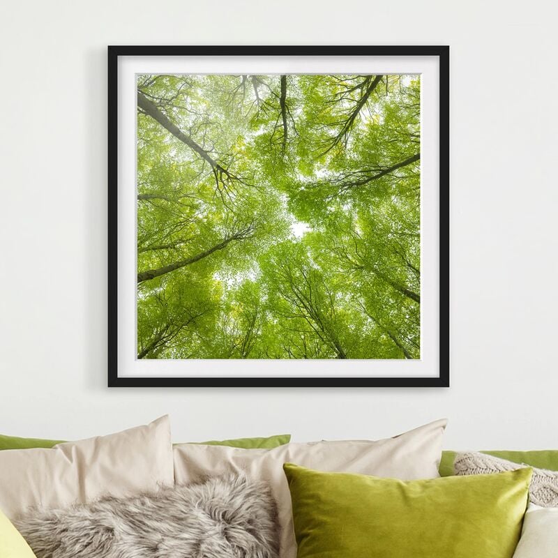 Póster enmarcado - Buchenwald On Lindkogel Dimensión LxA: 20cm x 20cm, Marco: Negro
Póster enmarcado - Buchenwald On Lindkogel Dimensión LxA: 20cm x 20cm, Marco: Negro