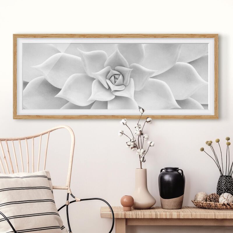 Póster enmarcado - Cactus Succulente Dimensión LxA: 20cm x 50cm, Marco: Roble
Póster enmarcado - Cactus Succulente Dimensión LxA: 20cm x 50cm, Marco: Roble