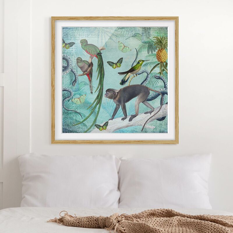 Póster enmarcado - Coloniale Collage - Scimmie e uccelli del paradiso Dimensión LxA: 70cm x 70cm, Marco: Roble
Póster enmarcado - Coloniale Collage - Scimmie e uccelli del paradiso Dimensión LxA: 70cm x 70cm, Marco: Roble