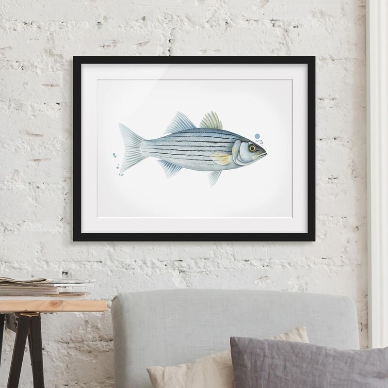 Póster enmarcado - Color Catch - White Perch Dimensión LxA: 18cm x 24cm, Marco: Negro
Póster enmarcado - Color Catch - White Perch Dimensión LxA: 18cm x 24cm, Marco: Negro