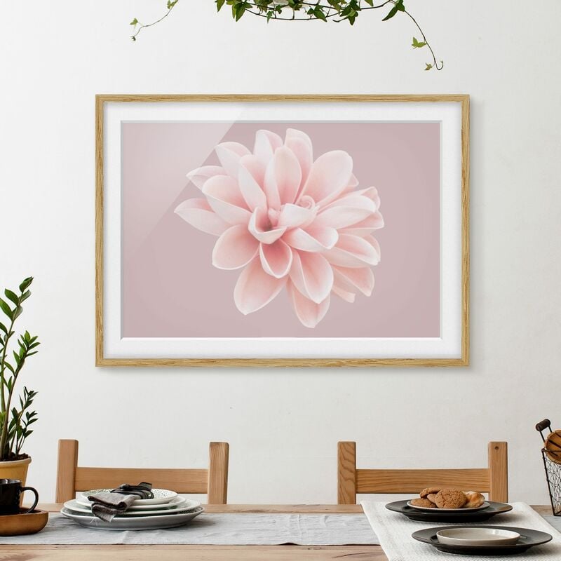 Póster enmarcado - Dalia in lavanda rosa e bianca Dimensión LxA: 40cm x 55cm, Marco: Roble
Póster enmarcado - Dalia in lavanda rosa e bianca Dimensión LxA: 40cm x 55cm, Marco: Roble