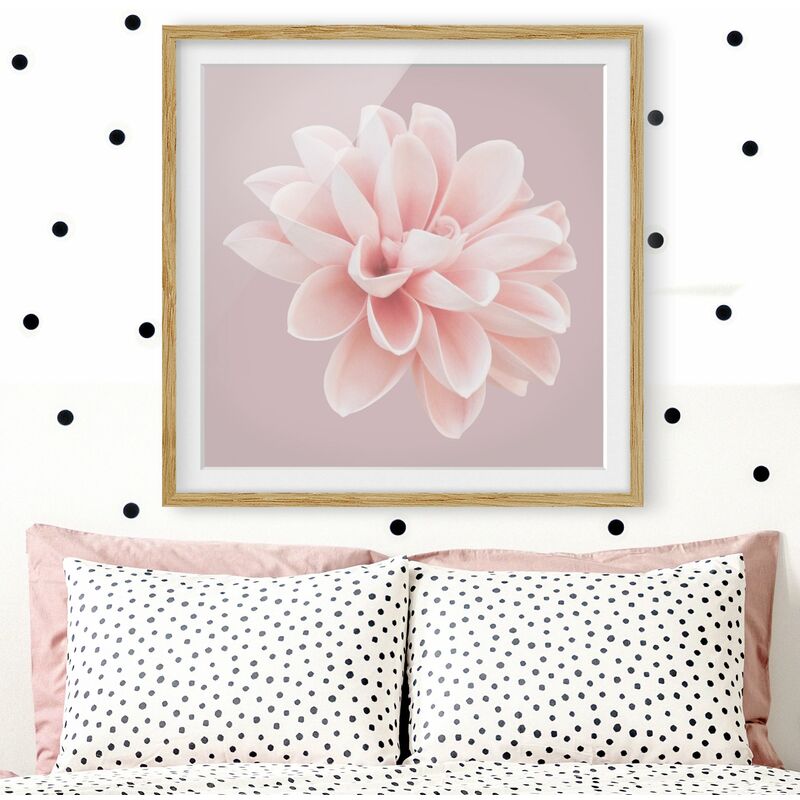 Póster enmarcado - Dalia in lavanda rosa e bianca Dimensión LxA: 30cm x 30cm, Marco: Roble
Póster enmarcado - Dalia in lavanda rosa e bianca Dimensión LxA: 30cm x 30cm, Marco: Roble