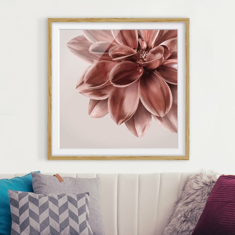 Póster enmarcado - Dettaglio di dalia in oro rosa metallico Dimensión LxA: 70cm x 70cm, Marco: Roble
Póster enmarcado - Dettaglio di dalia in oro rosa metallico Dimensión LxA: 70cm x 70cm, Marco: Roble