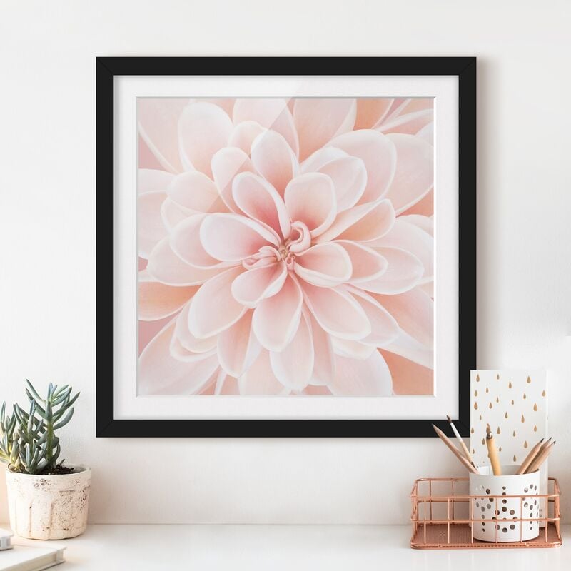 Póster enmarcado - Dalie in rosa pastello Dimensión LxA: 70cm x 70cm, Marco: Negro
Póster enmarcado - Dalie in rosa pastello Dimensión LxA: 70cm x 70cm, Marco: Negro