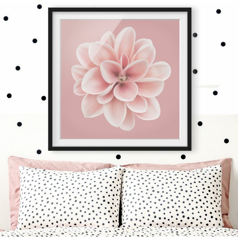 Póster enmarcado - Dalia centrata in fard rosa Dimensión LxA: 20cm x 20cm, Marco: Negro
Póster enmarcado - Dalia centrata in fard rosa Dimensión LxA: 20cm x 20cm, Marco: Negro