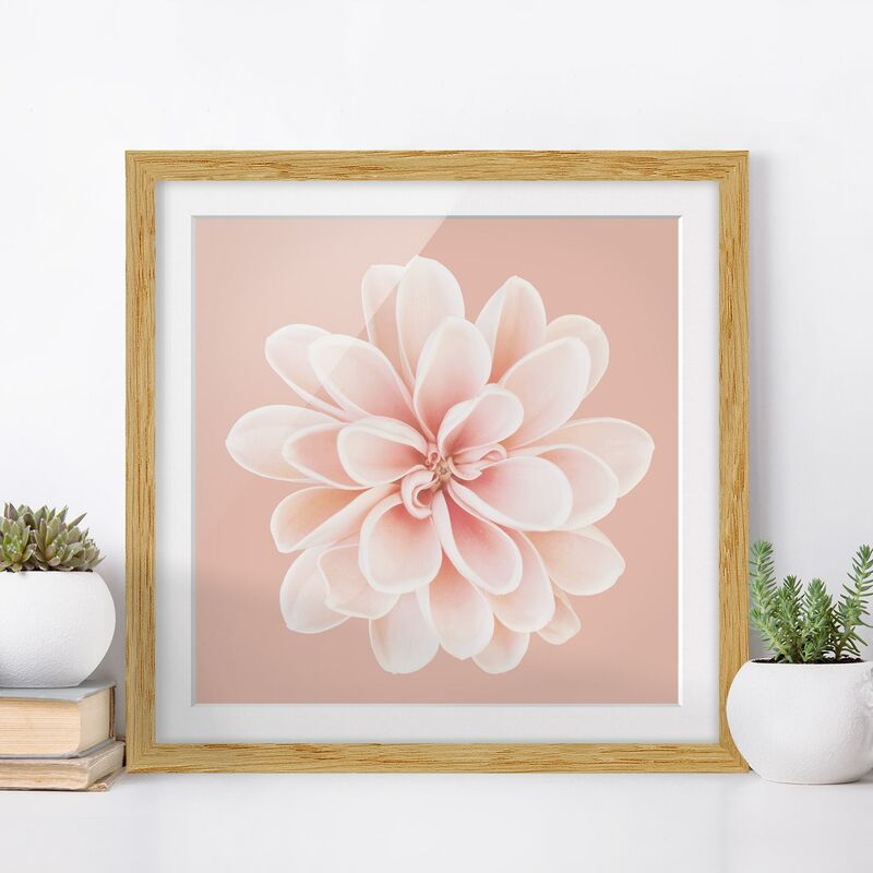 Póster enmarcado - Dalia centrata in pastello bianco Dimensión LxA: 30cm x 30cm, Marco: Roble
Póster enmarcado - Dalia centrata in pastello bianco Dimensión LxA: 30cm x 30cm, Marco: Roble