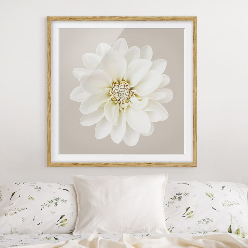 Póster enmarcado - Dalia in pastello bianco e grigio talpa centrata Dimensión LxA: 30cm x 30cm, Marco: Roble
Póster enmarcado - Dalia in pastello bianco e grigio talpa centrata Dimensión LxA: 30cm x 30cm, Marco: Roble