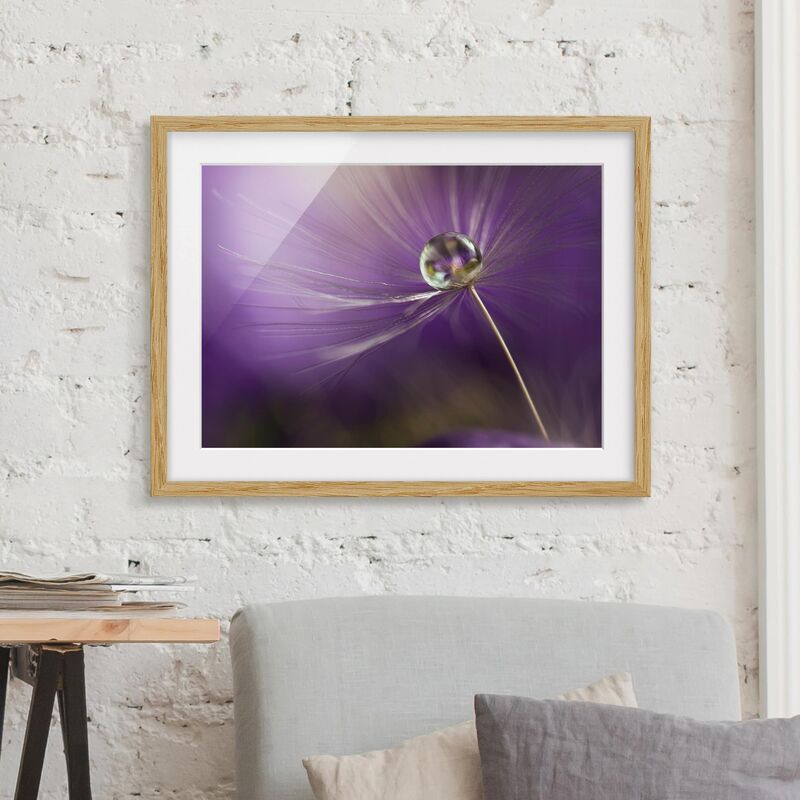 Póster enmarcado - Dandelion In Violet Dimensión LxA: 50cm x 70cm, Marco: Roble
Póster enmarcado - Dandelion In Violet Dimensión LxA: 50cm x 70cm, Marco: Roble