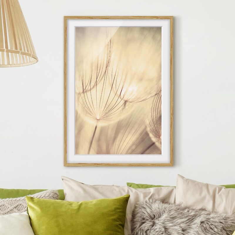 Póster enmarcado - Dandelions Close-Up In Sepia Dimensión LxA: 24cm x 18cm, Marco: Roble
Póster enmarcado - Dandelions Close-Up In Sepia Dimensión LxA: 24cm x 18cm, Marco: Roble