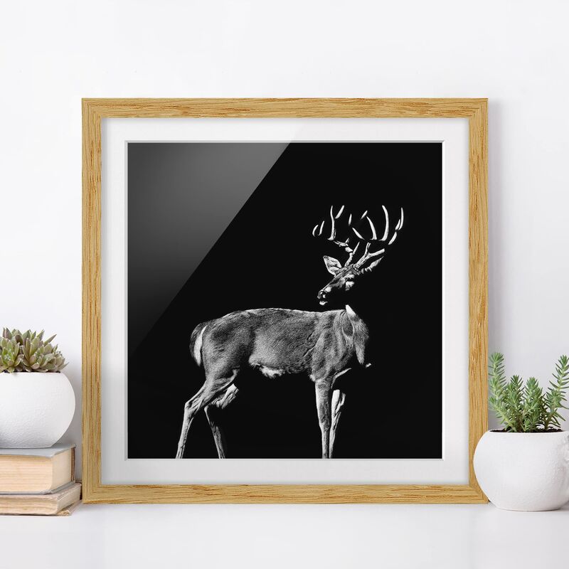Póster enmarcado - Deer In The Dark Dimensión LxA: 30cm x 30cm, Marco: Roble
Póster enmarcado - Deer In The Dark Dimensión LxA: 30cm x 30cm, Marco: Roble