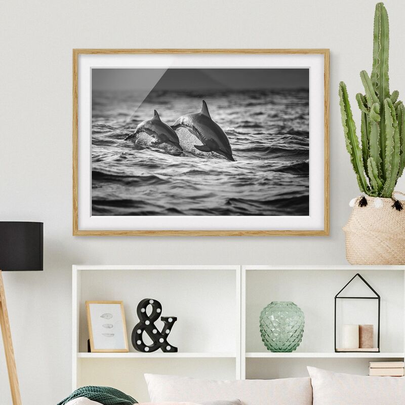 Póster enmarcado - Due delfini che saltano Dimensión LxA: 50cm x 70cm, Marco: Roble
Póster enmarcado - Due delfini che saltano Dimensión LxA: 50cm x 70cm, Marco: Roble