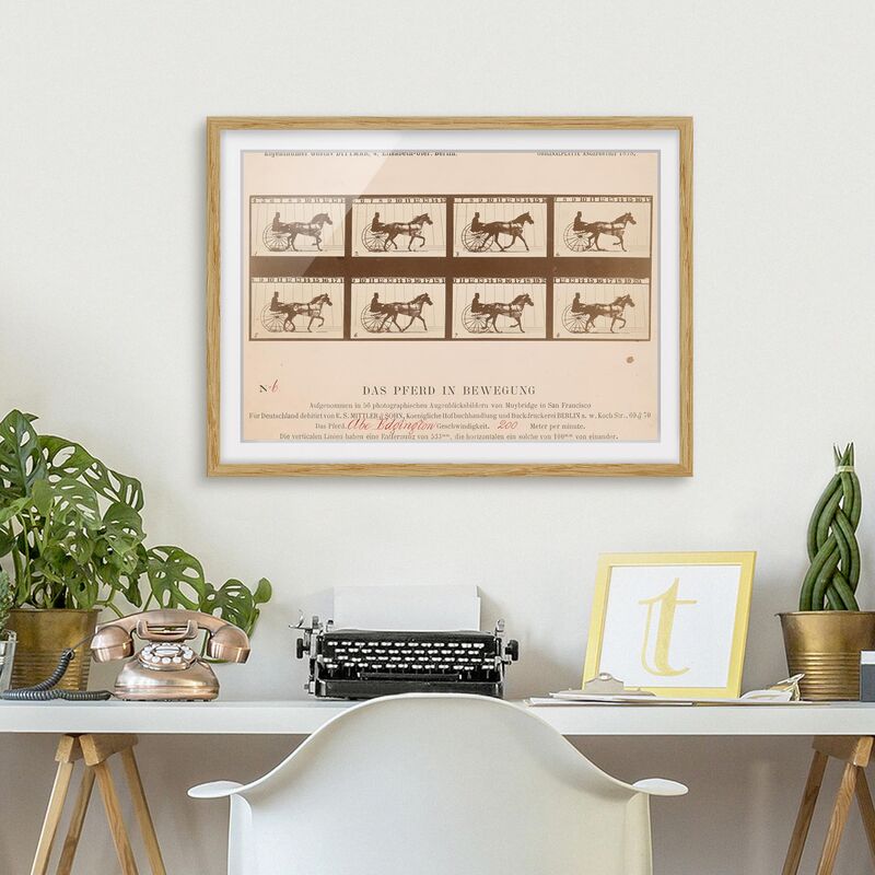 Póster enmarcado - Eadweard Muybridge - The Horse In Motion Dimensión LxA: 30cm x 40cm, Marco: Roble
Póster enmarcado - Eadweard Muybridge - The Horse In Motion Dimensión LxA: 30cm x 40cm, Marco: Roble