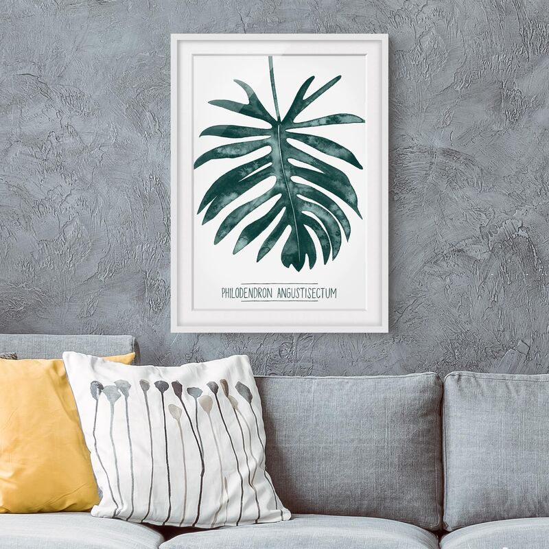 Póster enmarcado - Emerald Philodendron Angustisectum Dimensión LxA: 70cm x 50cm, Marco: Roble
Póster enmarcado - Emerald Philodendron Angustisectum Dimensión LxA: 70cm x 50cm, Marco: Roble
