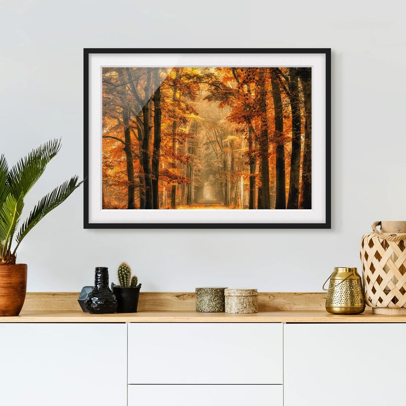 Póster enmarcado - Enchanted Forest In Autumn Dimensión LxA: 40cm x 55cm, Marco: Negro
Póster enmarcado - Enchanted Forest In Autumn Dimensión LxA: 40cm x 55cm, Marco: Negro