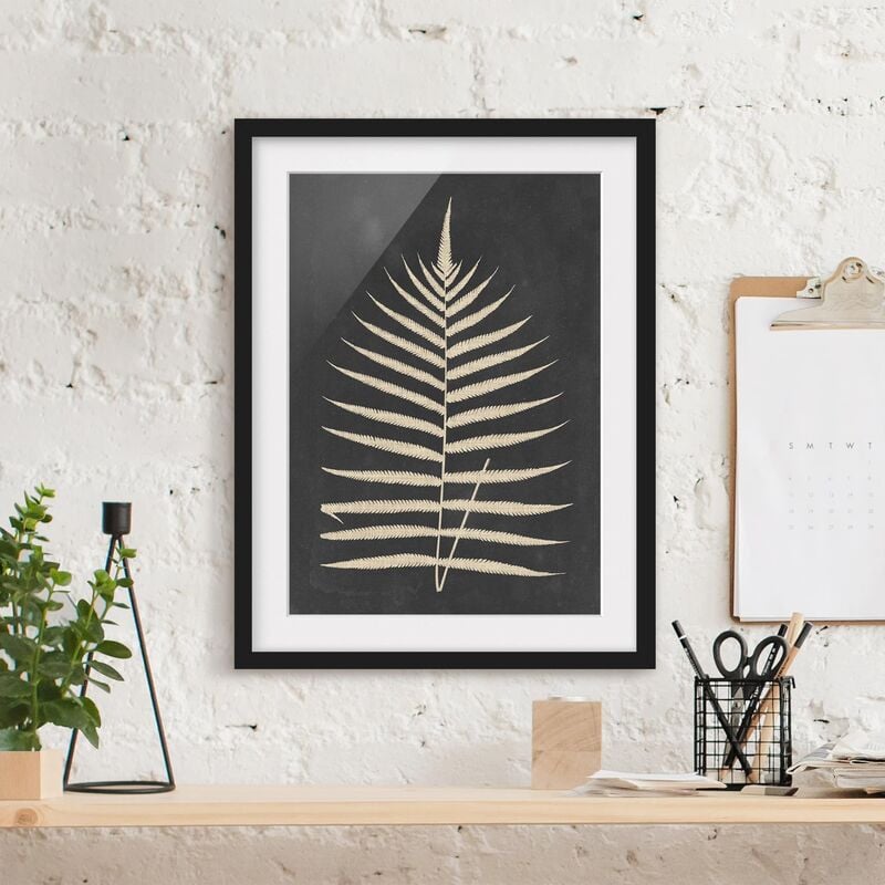 Póster enmarcado - Felce Con Struttura Di Lino Iii Dimensión LxA: 24cm x 18cm, Marco: Negro
Póster enmarcado - Felce Con Struttura Di Lino Iii Dimensión LxA: 24cm x 18cm, Marco: Negro