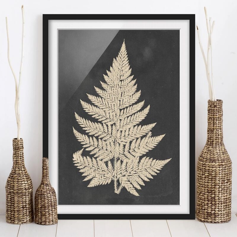 Póster enmarcado - Felce Con Struttura Di Lino I Dimensión LxA: 70cm x 50cm, Marco: Negro
Póster enmarcado - Felce Con Struttura Di Lino I Dimensión LxA: 70cm x 50cm, Marco: Negro