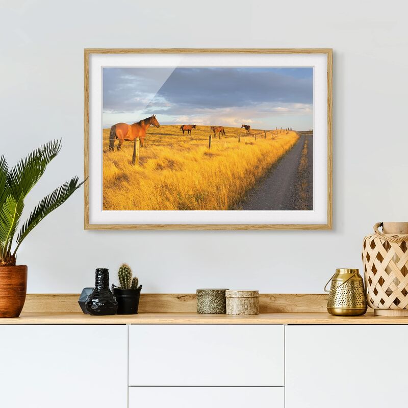 Póster enmarcado - Field Road And Horse In Evening Sun Dimensión LxA: 40cm x 55cm, Marco: Roble
Póster enmarcado - Field Road And Horse In Evening Sun Dimensión LxA: 40cm x 55cm, Marco: Roble
