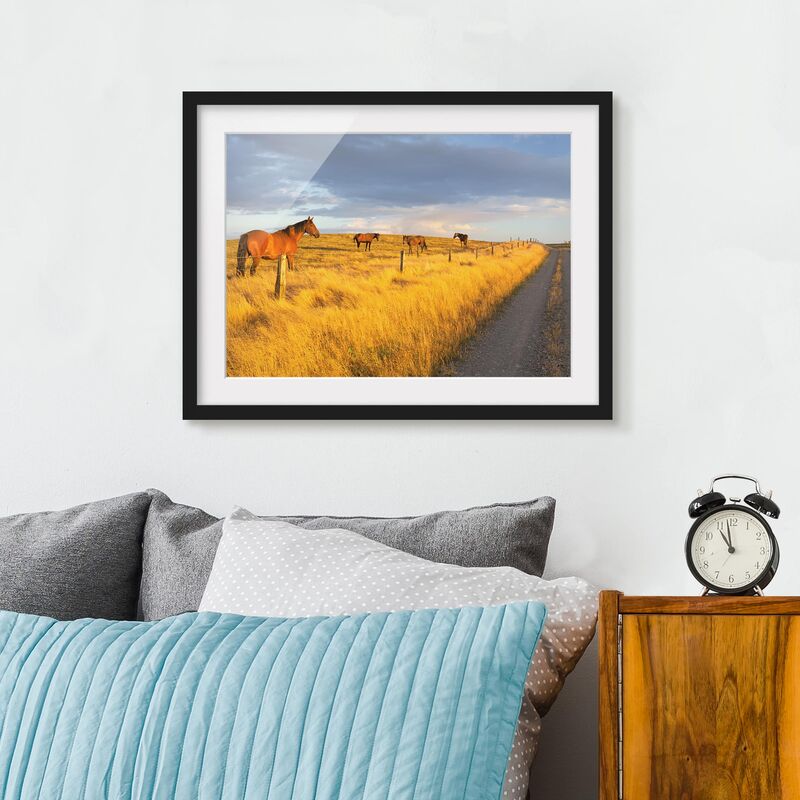 Póster enmarcado - Field Road And Horse In Evening Sun Dimensión LxA: 18cm x 24cm, Marco: Negro
Póster enmarcado - Field Road And Horse In Evening Sun Dimensión LxA: 18cm x 24cm, Marco: Negro