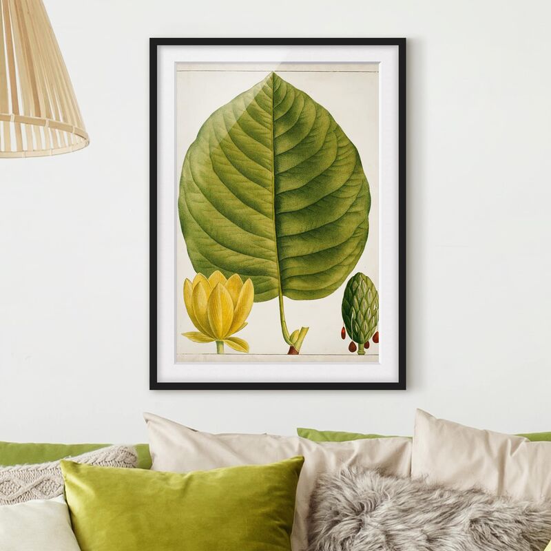 Póster enmarcado - Foglia Tableau Fiore Frutta I Dimensión LxA: 55cm x 40cm, Marco: Negro
Póster enmarcado - Foglia Tableau Fiore Frutta I Dimensión LxA: 55cm x 40cm, Marco: Negro
