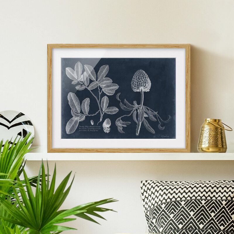 Póster enmarcado - Foliage Dark Blue - Zimtapfel Dimensión LxA: 70cm x 100cm, Marco: Roble
Póster enmarcado - Foliage Dark Blue - Zimtapfel Dimensión LxA: 70cm x 100cm, Marco: Roble