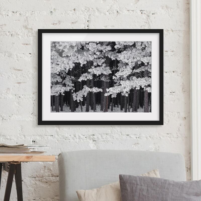 Póster enmarcado - Forest With Hoarfrost In Austria Dimensión LxA: 50cm x 70cm, Marco: Negro
Póster enmarcado - Forest With Hoarfrost In Austria Dimensión LxA: 50cm x 70cm, Marco: Negro