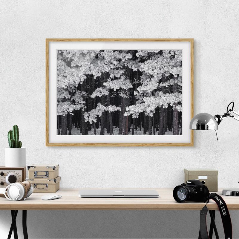 Póster enmarcado - Forest With Hoarfrost In Austria Dimensión LxA: 18cm x 24cm, Marco: Roble
Póster enmarcado - Forest With Hoarfrost In Austria Dimensión LxA: 18cm x 24cm, Marco: Roble