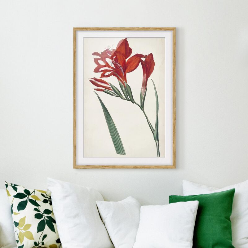 Póster enmarcado - Giardino Bellezza Vi Dimensión LxA: 40cm x 30cm, Marco: Roble
Póster enmarcado - Giardino Bellezza Vi Dimensión LxA: 40cm x 30cm, Marco: Roble
