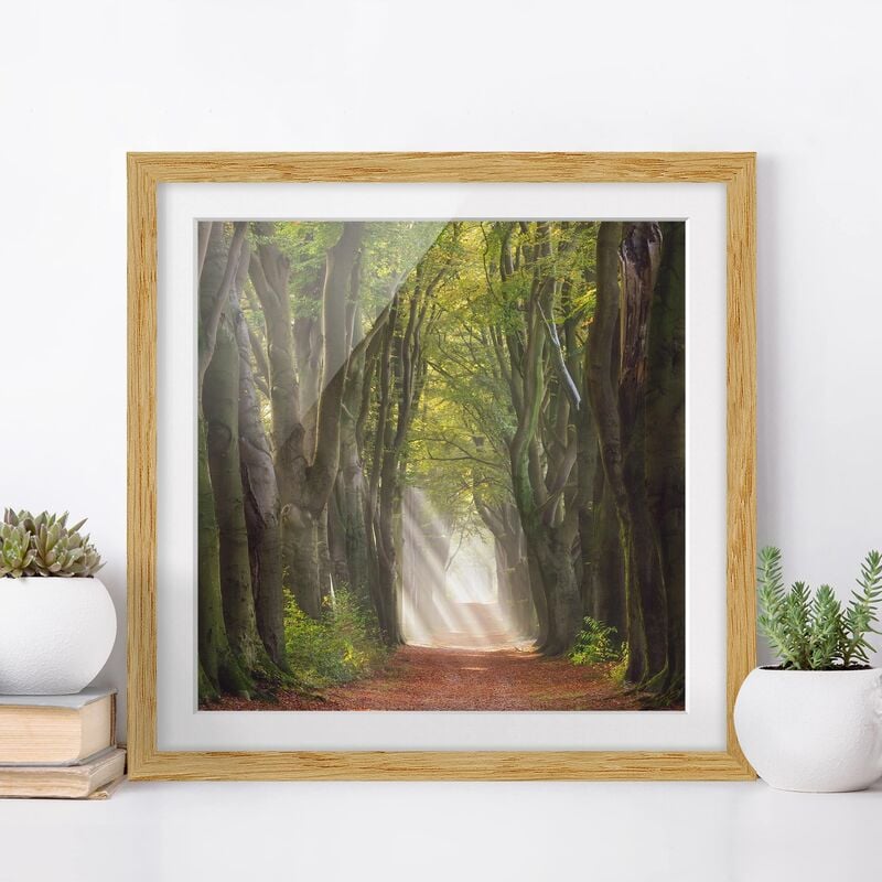 Póster enmarcado - Glorious Day In The Forest Dimensión LxA: 70cm x 70cm, Marco: Roble
Póster enmarcado - Glorious Day In The Forest Dimensión LxA: 70cm x 70cm, Marco: Roble