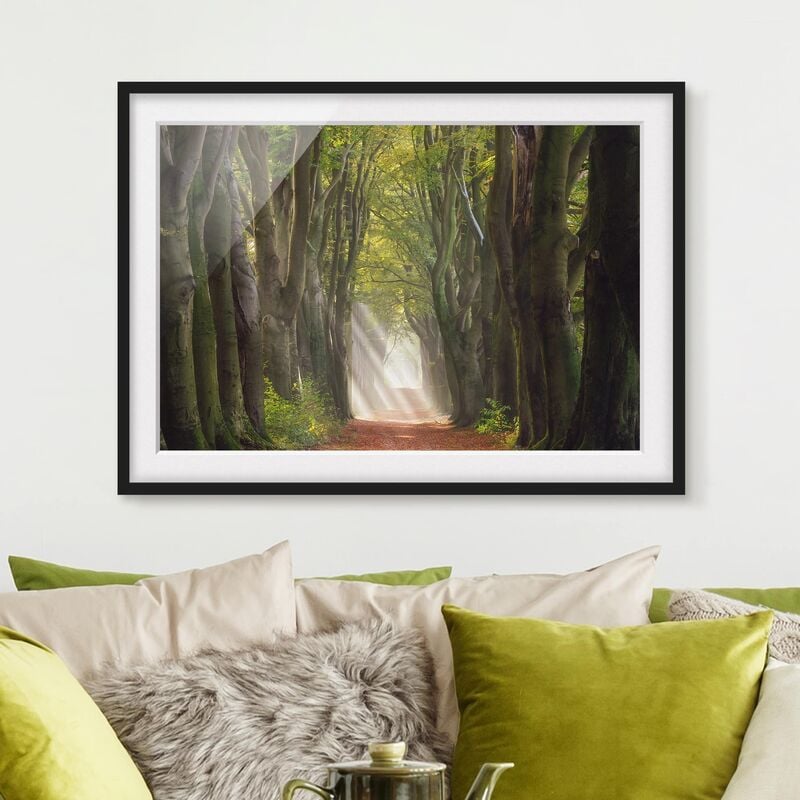 Póster enmarcado - Glorious Day In The Forest Dimensión LxA: 30cm x 40cm, Marco: Negro
Póster enmarcado - Glorious Day In The Forest Dimensión LxA: 30cm x 40cm, Marco: Negro