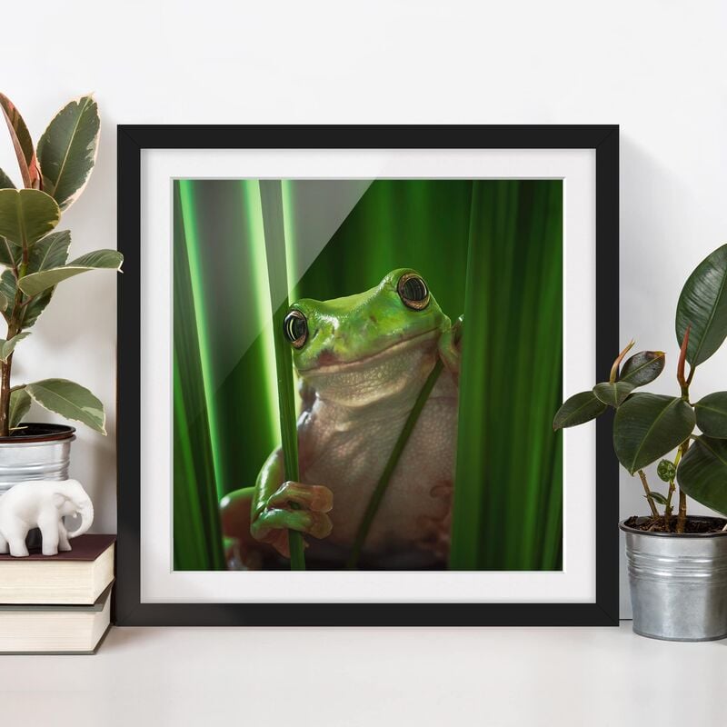 Póster enmarcado - Happy Frog Dimensión LxA: 70cm x 70cm, Marco: Negro 
Póster enmarcado - Happy Frog Dimensión LxA: 70cm x 70cm, Marco: Negro