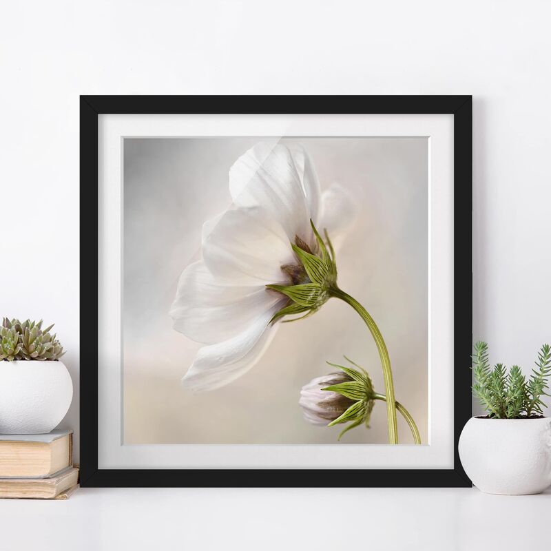 Póster enmarcado - Heavenly Blossom Dream Dimensión LxA: 70cm x 70cm, Marco: Negro
Póster enmarcado - Heavenly Blossom Dream Dimensión LxA: 70cm x 70cm, Marco: Negro
