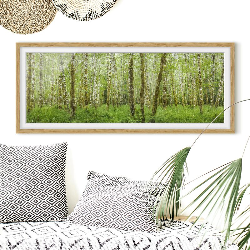 Póster enmarcado - Hoh Rain Forest Nel Parco Nazionale Olimpica Dimensión LxA: 40cm x 100cm, Marco: Roble
Póster enmarcado - Hoh Rain Forest Nel Parco Nazionale Olimpica Dimensión LxA: 40cm x 100cm, Marco: Roble