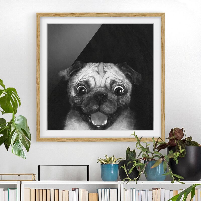Póster enmarcado - Illustrazione Pug Dog Pittura Su Bianco e nero Dimensión LxA: 30cm x 30cm, Marco: Roble
Póster enmarcado - Illustrazione Pug Dog Pittura Su Bianco e nero Dimensión LxA: 30cm x 30cm, Marco: Roble