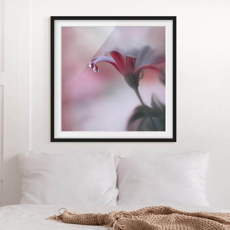 Póster enmarcado - Invisible Touch Dimensión LxA: 50cm x 50cm, Marco: Negro
Póster enmarcado - Invisible Touch Dimensión LxA: 50cm x 50cm, Marco: Negro