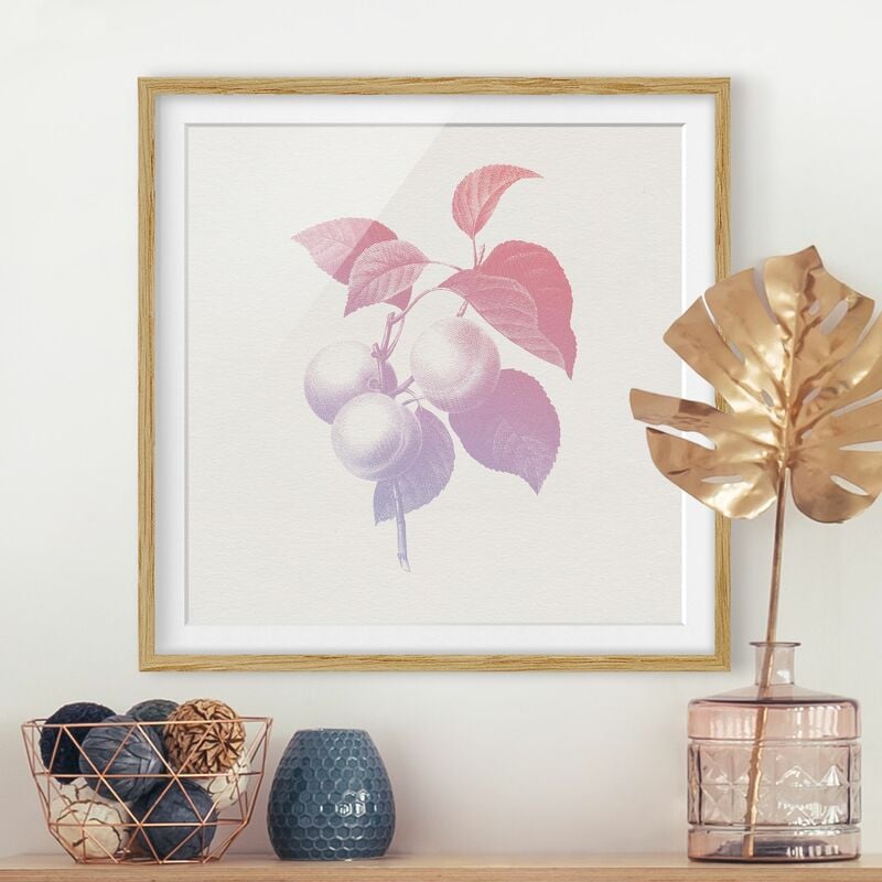 Póster enmarcado - Moderna Vintage botanico Peach Rosa Viola Dimensión LxA: 20cm x 20cm, Marco: Roble
Póster enmarcado - Moderna Vintage botanico Peach Rosa Viola Dimensión LxA: 20cm x 20cm, Marco: Roble
