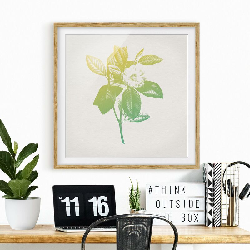 Póster enmarcado - Moderna Vintage Botanica Fiore di ciliegio Verde Giallo Dimensión LxA: 70cm x 70cm, Marco: Roble
Póster enmarcado - Moderna Vintage Botanica Fiore di ciliegio Verde Giallo Dimensión LxA: 70cm x 70cm, Marco: Roble