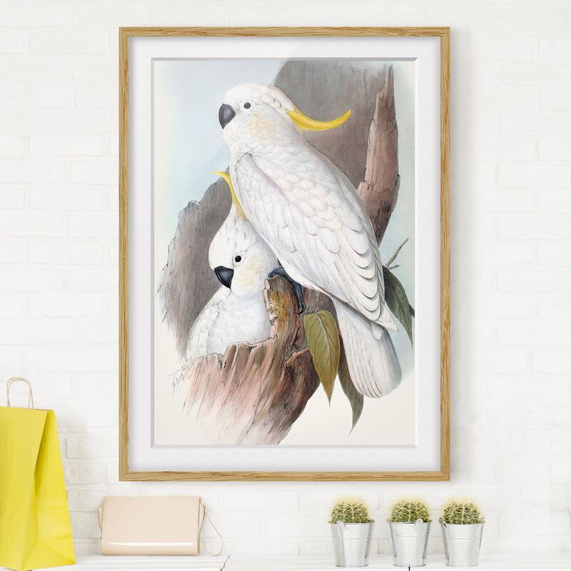 Póster enmarcado - Pappagalli Pastello Iii Dimensión LxA: 70cm x 50cm, Marco: Roble
Póster enmarcado - Pappagalli Pastello Iii Dimensión LxA: 70cm x 50cm, Marco: Roble